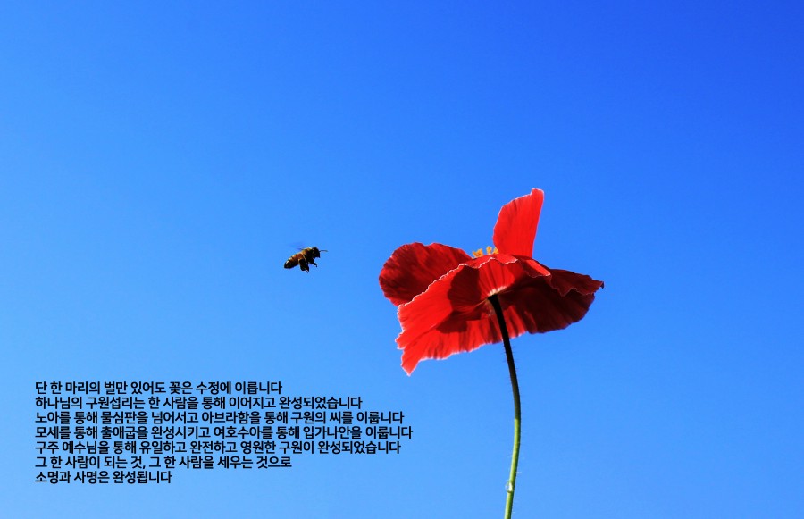 def711f478a3633e931c39c2fac30132_1626300037_795.jpg