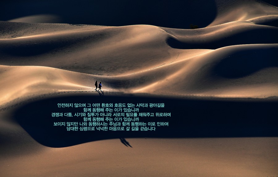 22bccdde3d126c1c63fc234a190142a4_1647985972_5004.jpg