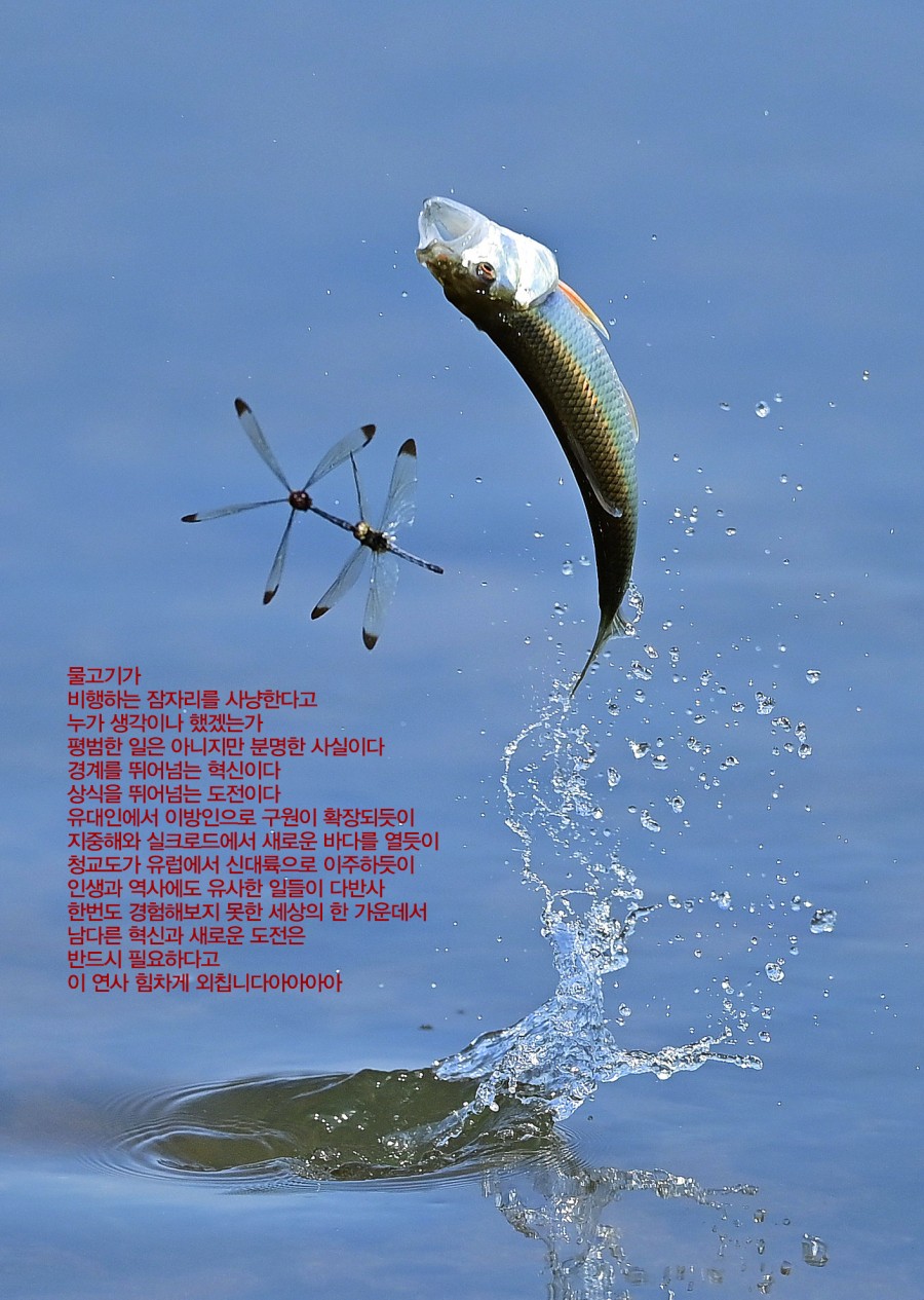 19d5edddaec4fab78098a943f31945bf_1649282104_5097.jpg