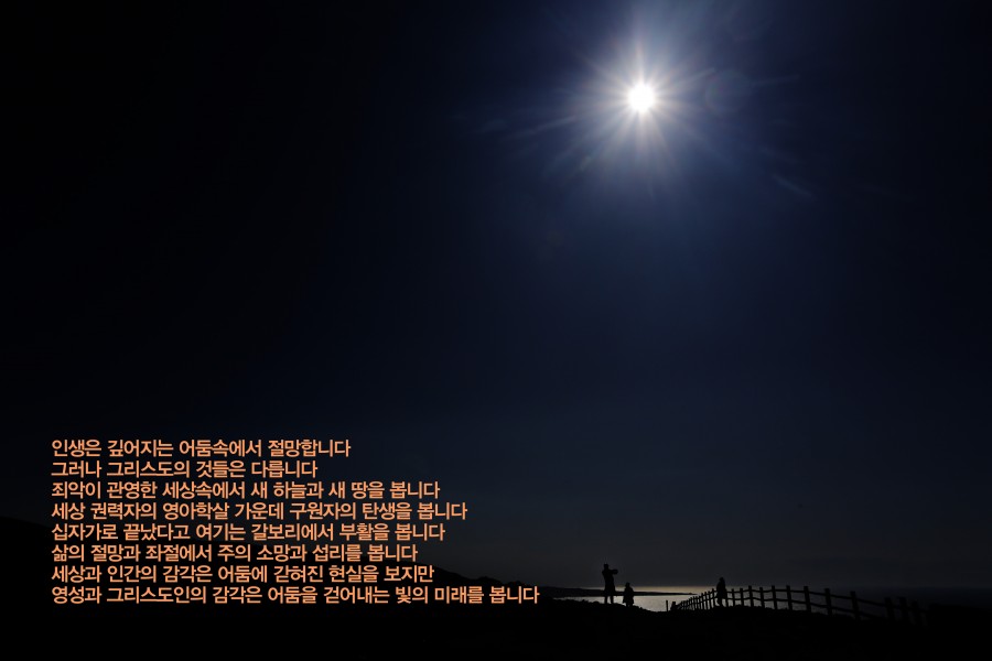 98ec9ad1d67233c5c7d2f025901aed45_1649022517_1164.jpg